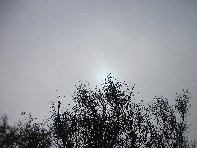 nte Fontane-201011107 059